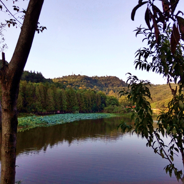 湖畔美景