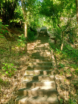 登山台阶