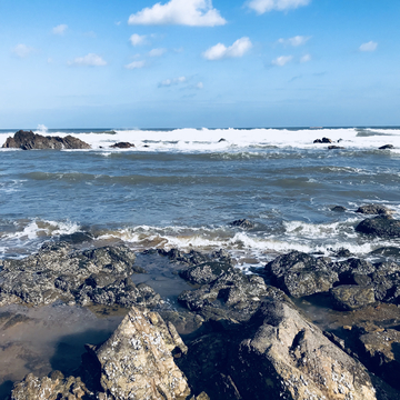 大海 青岛海景