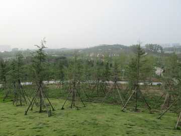 郑州市森林公园