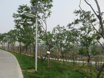 郑州市森林公园