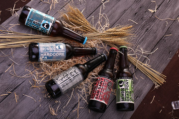 酿酒狗精酿啤酒brewdog