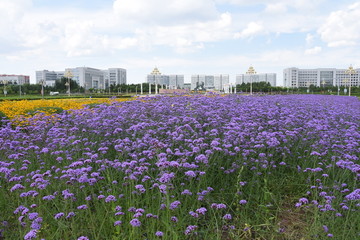 花园城市