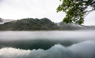 雾漫