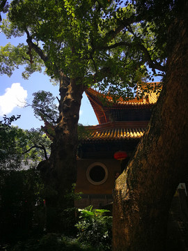 普陀山普济寺