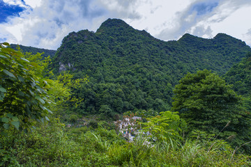 大山风景