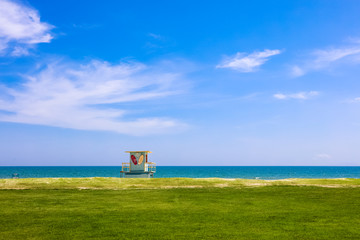 海边的草地