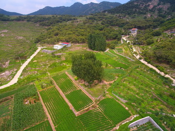 航拍北方山区农村田园风光