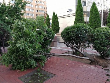 台风摧毁