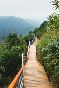 景区木栈道