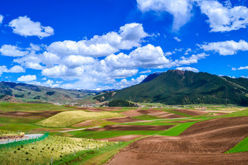 卓尔山风景区