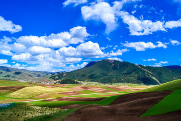 卓尔山风景区