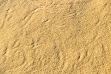 沙滩海沙