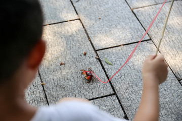小孩钓螃蟹