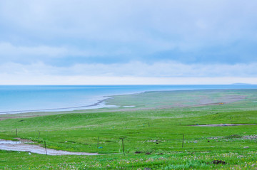 青海湖