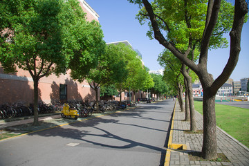 上海财大校园