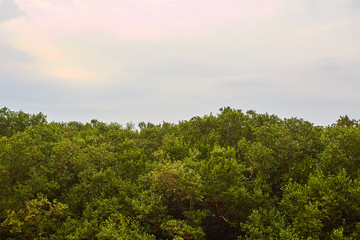 特呈岛度假村