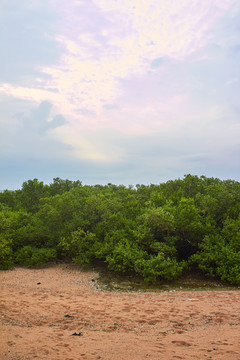 特呈岛度假村