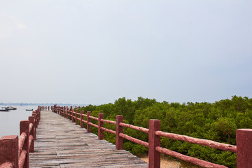 特呈岛度假村