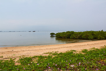 特呈岛