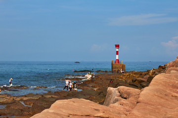 海枯石烂海滩