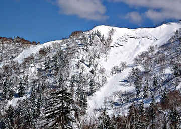 林海雪原