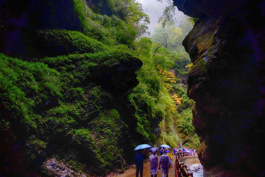 官鹅沟峡谷景色