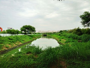 臭水沟