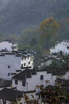 初秋清晨石城村3