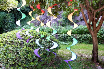 树上装饰螺旋彩色带子实拍