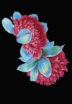 芍藥花頭