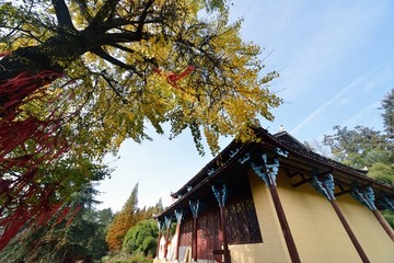 大宋山风景区