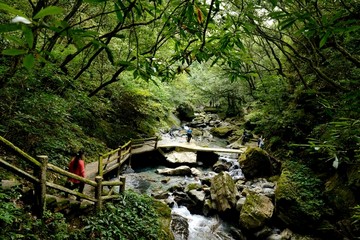 湖北五峰后河风景区