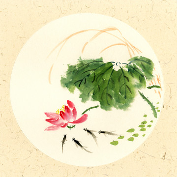 國(guó)畫(huà)荷花