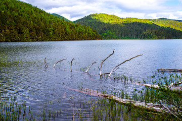 香格里拉湖泊湿地