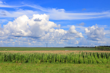 路上风景