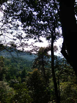 山林风景