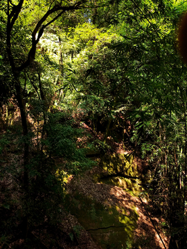 山石岩壁