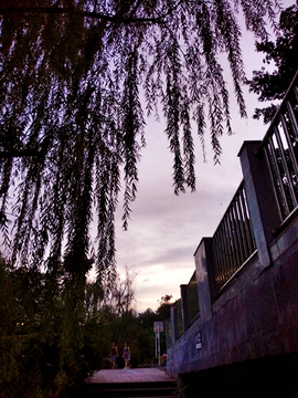 大学校园黄昏风景