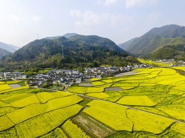 田园花海