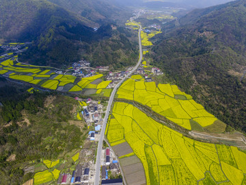 田园风光