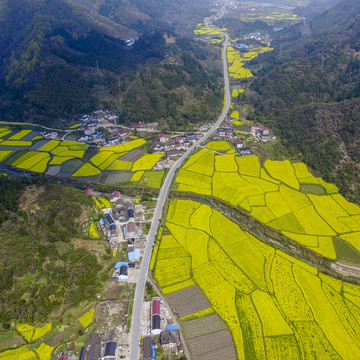 田园风光