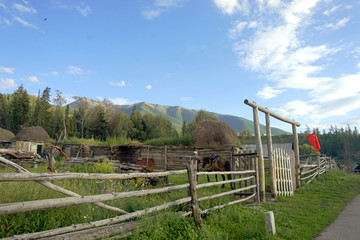 新疆白哈巴村牧场和林地风光