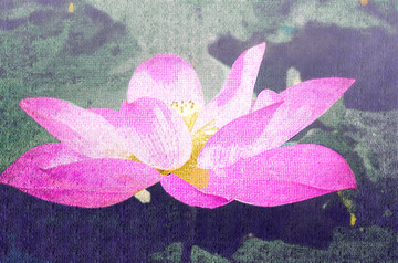 荷花油畫