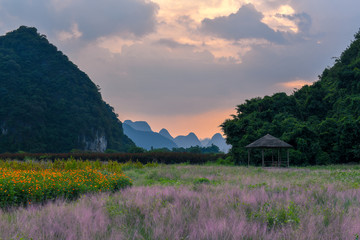 英西峰林花海