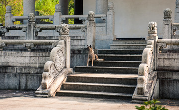 佛教建筑