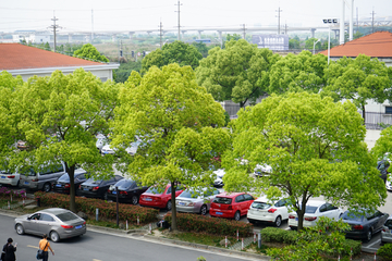 户外停车场 城市绿化