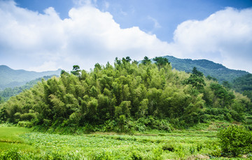 山岭风光