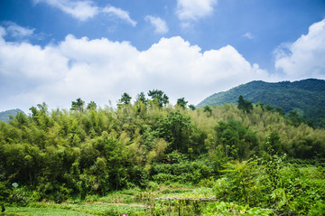 山岭风光