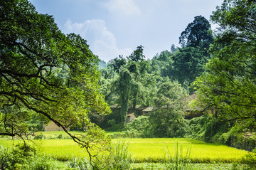 山野风光